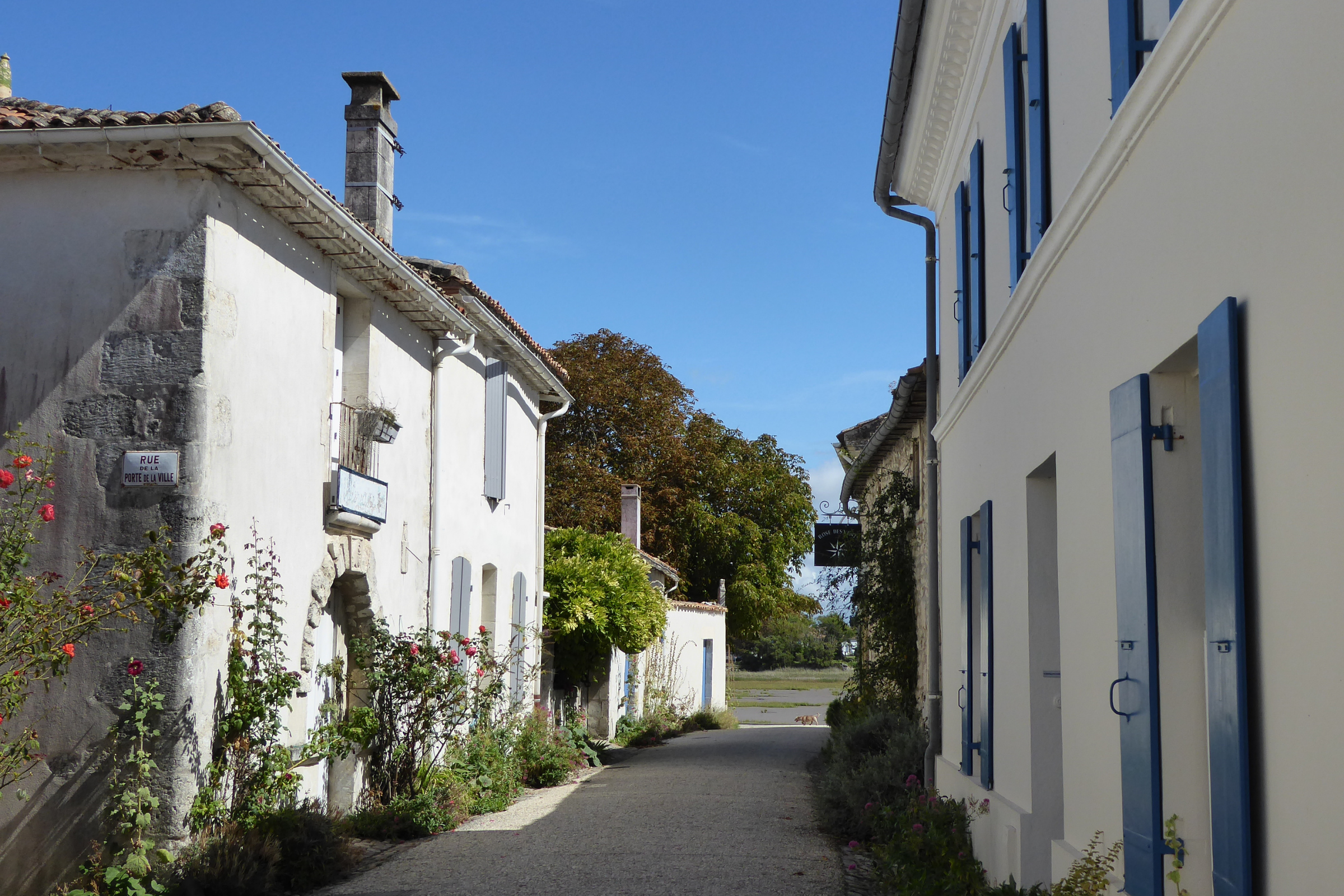 talmont-sur-gironde (2).webp